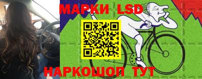 мяу мяу мука Кингисепп