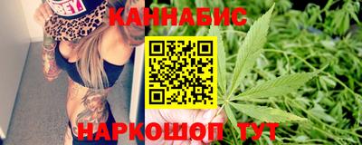 мяу мяу мука Кингисепп
