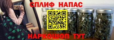 spice Кинель