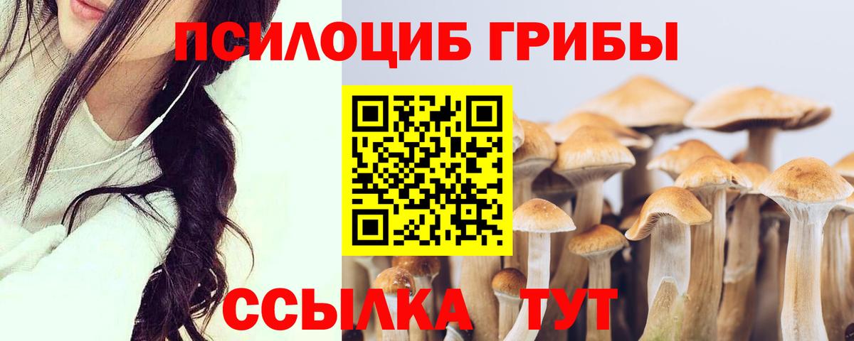 Псилоцибиновые грибы мицелий  Вход с VPN  Кувандык 